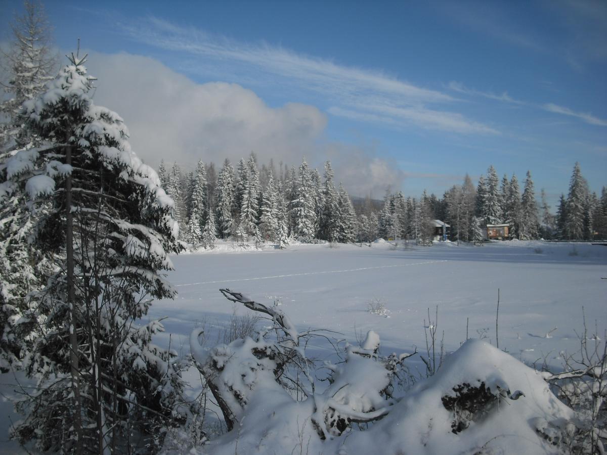 Apartman Panorama 213, Studio Comfort Štrbské Pleso Extérieur photo